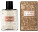 pan-drwal-steam-punk-aftershave-100-ml-grupa-zapachowa-drzewna