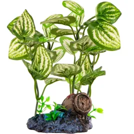 kruger-meier-plant-barrel-and-plants-roslinka-sztuczna