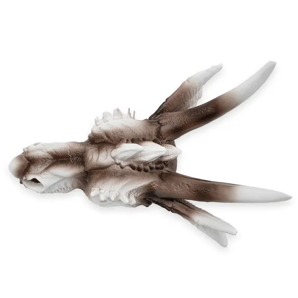 czaszka-smoka-28cm-stan-nowy