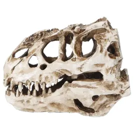 czaszka-tyranozaura-16cm-atd
