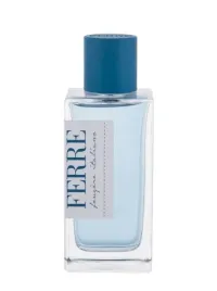 gianfranco-ferre-fougere-italiano-edt-100-ml-flakon