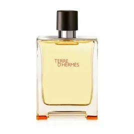 hermes-terre-d-hermes-edt-100-ml-flakon