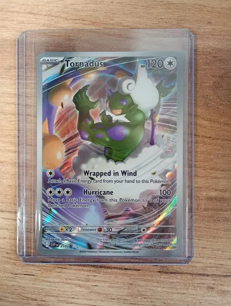 Oryginalna karta Pokemon TCG: Tornadus (SVP 210) Promo
