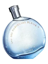 hermes-eau-des-merveilles-bleue-100ml-edt