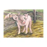 puzzle-kostki-z-owieczka-stan-nowy