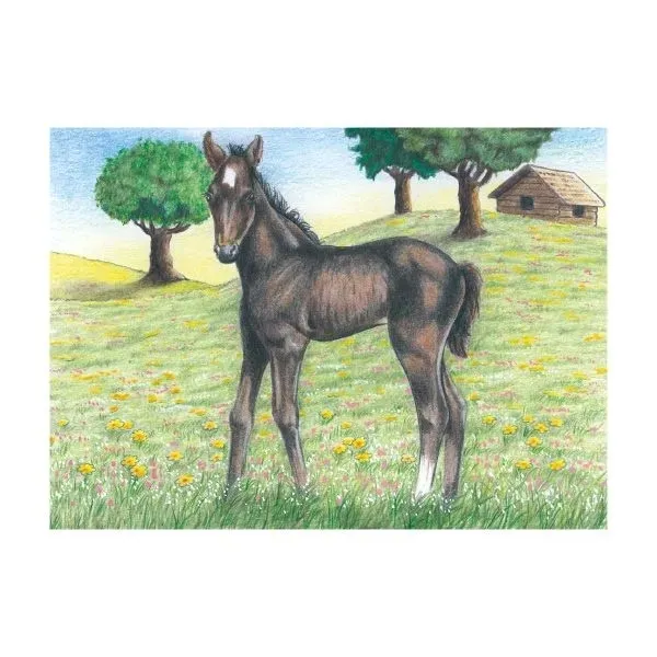 puzzle-kostki-z-owieczka-marka-goki
