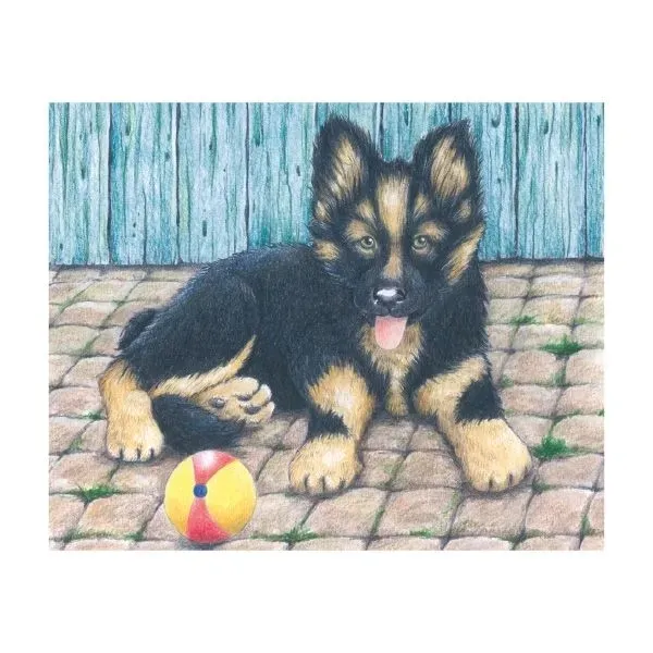 puzzle-kostki-z-owieczka-plec-chlopcy-dziewczynki