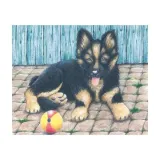 puzzle-kostki-z-owieczka-plec-chlopcy-dziewczynki