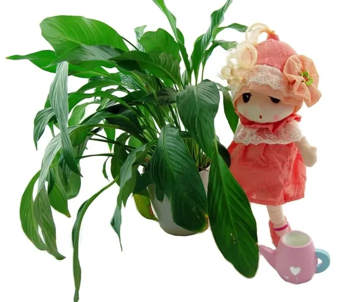 lalka-julia-material-tkanina-inny