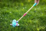 ptaszek-do-pchania-adam-toys-stan-nowy