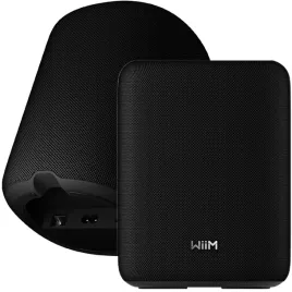 wiim-sound-lite-glosnik-bezprzewodowy-wi-fi-multiroom-bluetooth-ai-roomfit