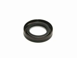 pierscien-uszczelniajacy-walu-briggs-andamp-stratton-391483s