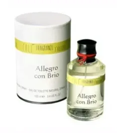 cale-d-autore-allegro-con-brio-edp-100ml-bez-folii