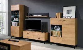 mebloscianka-wayne-szafka-rtv-witryny-salon-dab