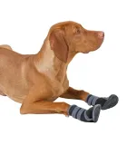 buty-dla-psa-active-l-kerbl