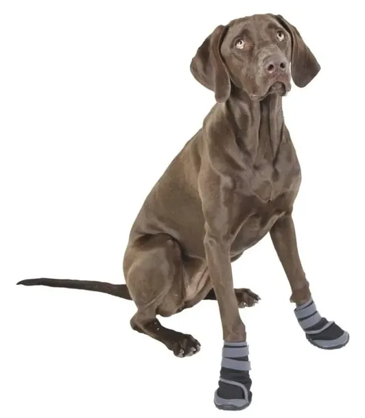 buty-dla-psa-active-l-kerbl