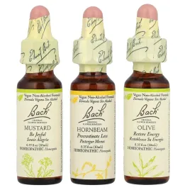bach-original-flower-remedies-mental-energy-kit-emocjonalne-wzloty-i-upa