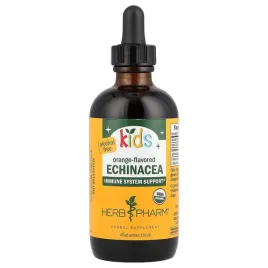 herb-pharm-dziecieca-jezowka-bez-alkoholu-pomaranczowa-120-ml