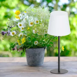 sanico-goldlux-lampka-dekoracyjna-led-lucia-usb-c-czarna-white-rgb-336385