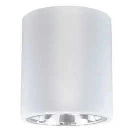 sanico-goldlux-oprawa-natynkowa-merkury-13-e27-okragla-stala-biala-313577
