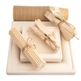 zestaw-z-trzciny-cukrowej-kwadratowy-braz-12-osob