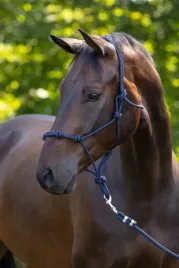 kantar-sznurkowy-granatowy-rozne-rozmiary-od-pony-do-full-covalliero