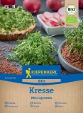 rzezucha-kresse-618480-st