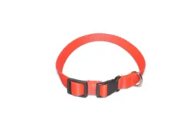 a-004-obroza-dla-psa-tasma-20mm-26-44cm