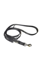 a-036-smycz-dla-psa-tasma-30mm-220cm
