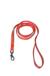 a-027-smycz-dla-psa-tasma-16mm-180cm