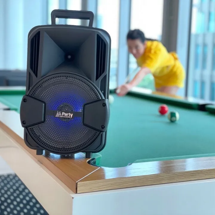 kolumna-bluetooth-karaoke-mikrofon-statyw-pilot