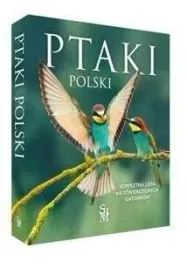 ptaki-polski