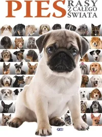 pies-rasy-z-calego-swiata