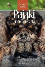 pajaki-i-inne-pajeczaki-spotkania-z-przyroda