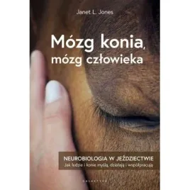 mozg-konia-mozg-czlowieka-neurobiologia-jones