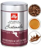 illy-arabica-selection-guatemala