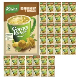 pakiet-40szt-knorr-goracy-kubek-zupa-borowikowa-z-grzankami