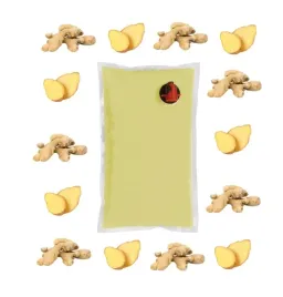 sok-imbirowy-100percent-z-cytryna-z-imbiru-nfc-15l