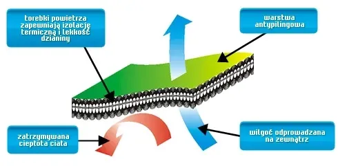 polar-standard-plus-czerwony