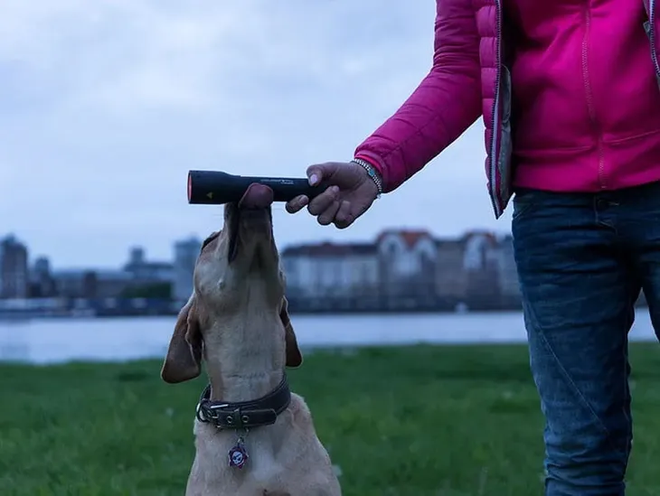 latarka-ledlenser-mt14-stan-nowy