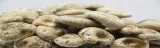 shiitake-zestaw-do-uprawy-grzybow-postac-w-calosci