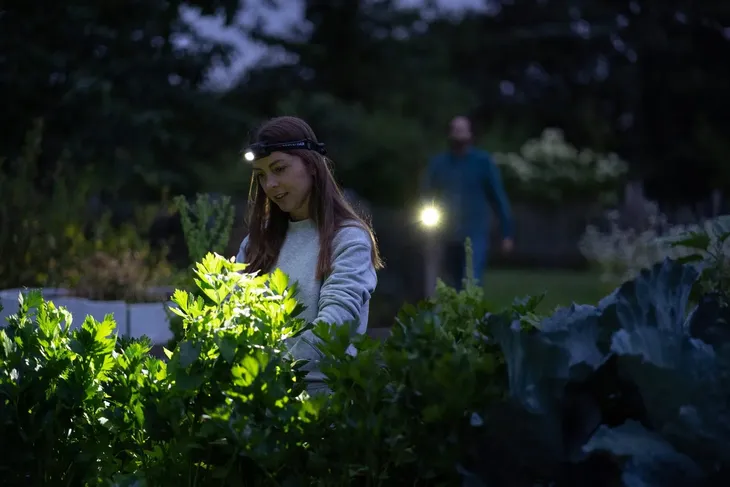 latarka-ledlenser-h5r-core-stan-nowy