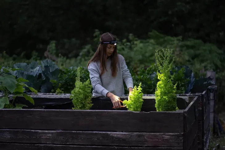 latarka-ledlenser-h5r-core-stan-nowy