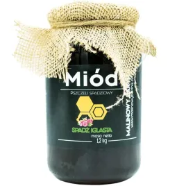 miod-spadz-iglasta-1-2-kg-duzy-sloj
