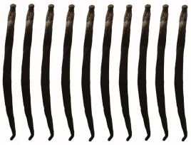 wanilia-laski-10-szt-10-14-cm-laska-wanilii-jakosc-1-swieze-wilgotne-laski