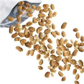 morwa-biala-suszona-1kg-cala-naturalna-klasa-a-nutt