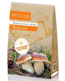 borowiki-certyfikowana-grzybnia-grzyby-lesne