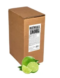 sok-z-limonki-100percent-sadvit-5l-orzezwiajaca-limonka-z-limonek-limonkowy