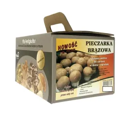 grzyby-w-domu-ogrodzie-pieczarka-brazowa-5kg