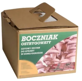 boczniak-uprawa-w-domu-balot-grzybnia-boczniaka
